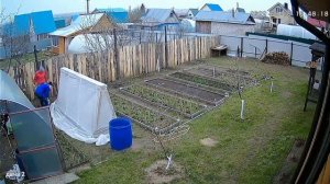 Парник для огурцов из грядки?