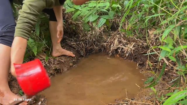Single Mother And Son Build A New Life. 4 Days Of Building A House In The Forest Lo Thi Luyen