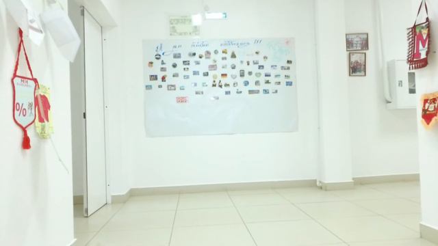 Fimi X8 SE режим VPU