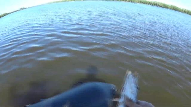 Ока рыбалка на спиннинг с лодки. Ловля хищника смотреть онлайн