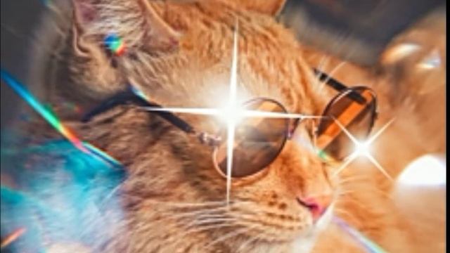 #симбочкапимбочка #трек #zakonx_yt Симбочка пимбочка | Трек Симбочки