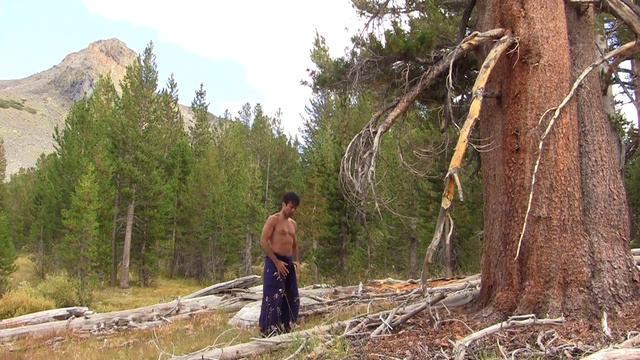 Microcosmic Orbit Tree Chi Kung смотреть онлайн