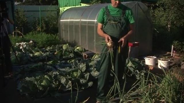 4 09  Во саду ли в огороде