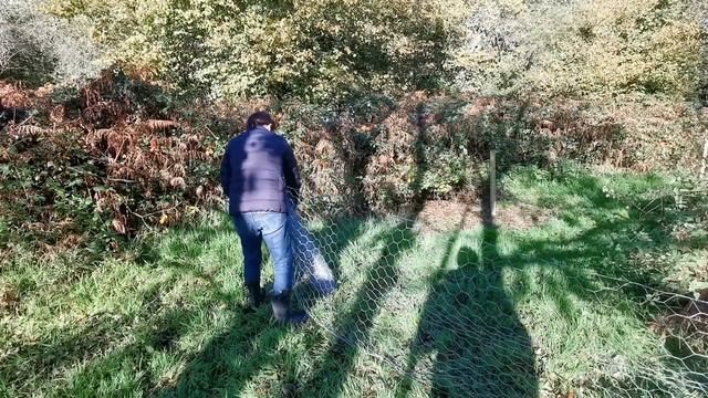 Finding friends for our lonely chicken | Heartwarming animal rescue story смотреть онлайн