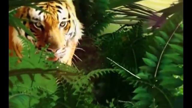 Alessandra Villegas 2013/01/23 Planeta Feroz смотреть онлайн