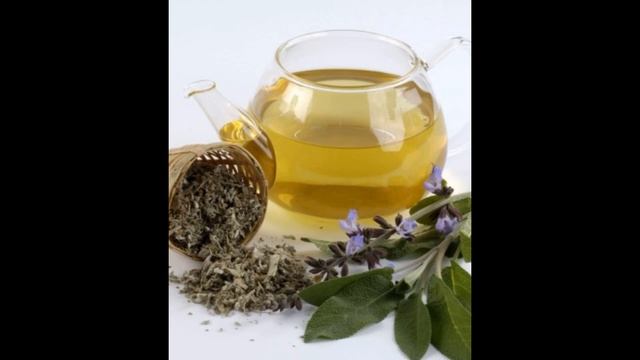 ЛЕЧЕБНЫЕ СВОЙСТВА ШАЛФЕЯ