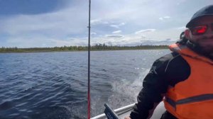 Рыбалка в Мурманске летом 2023, река Лотта - Верхнетуломское водохранилище. Кумжа, Щука, Окунь