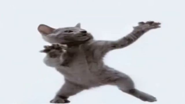 шок кот флексит под рекламу Мегафона смотреть онлайн