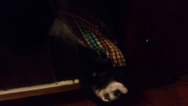 Самая удобная поза для сна смотреть онлайн