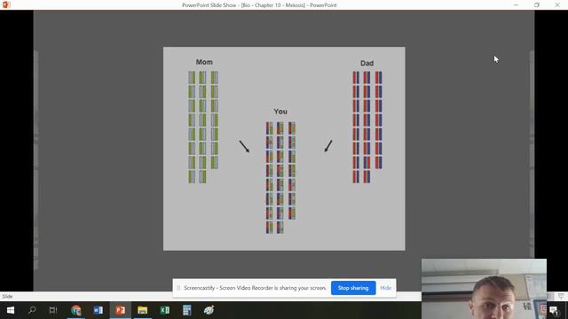 Bio - Chapter 10 - Meiosis смотреть онлайн