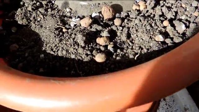 Как сделать копилку (СЕЙФ) смотреть онлайн