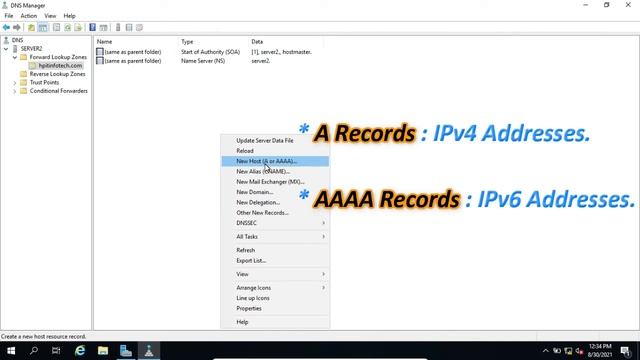 How to Install and Configure DNS Server | DNS Server Configuration | Windows Server 2019 смотреть онлайн