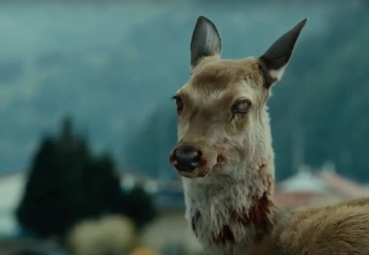 Обезумевшие косули Курганской области смотреть онлайн