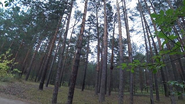 За Каму в Верхнюю Курью в августе. смотреть онлайн