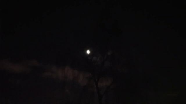 Лунный прогноз - Сегодня день целителей... 11 02 23 года. смотреть онлайн