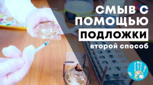 Смыв с помощью подложек «Петритест». Вариант 2