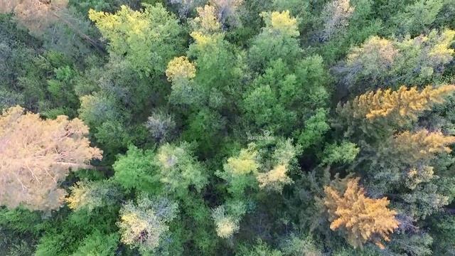 Природа, река Кама, аэросъемка смотреть онлайн