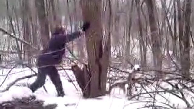 Лидка валит дерево смотреть онлайн