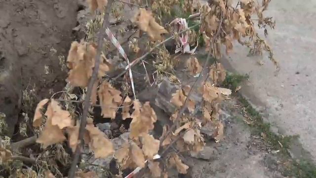 "Ремонт" водомагистрали на ул.П.Коммуны.Руины и яма с ограждениями из веток. смотреть онлайн