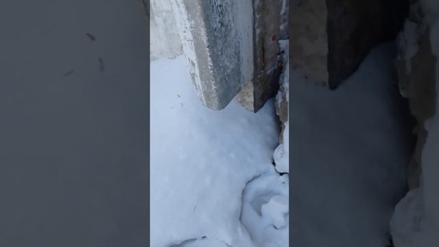 заброшенный университет-парковка-спорт зал смотреть онлайн
