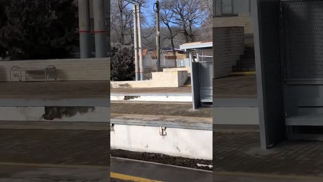 Дорога в аэропорт Минеральные Воды. Станция Бештау #ведущийкисловодск #кисловодск #ведущиймосква смотреть онлайн