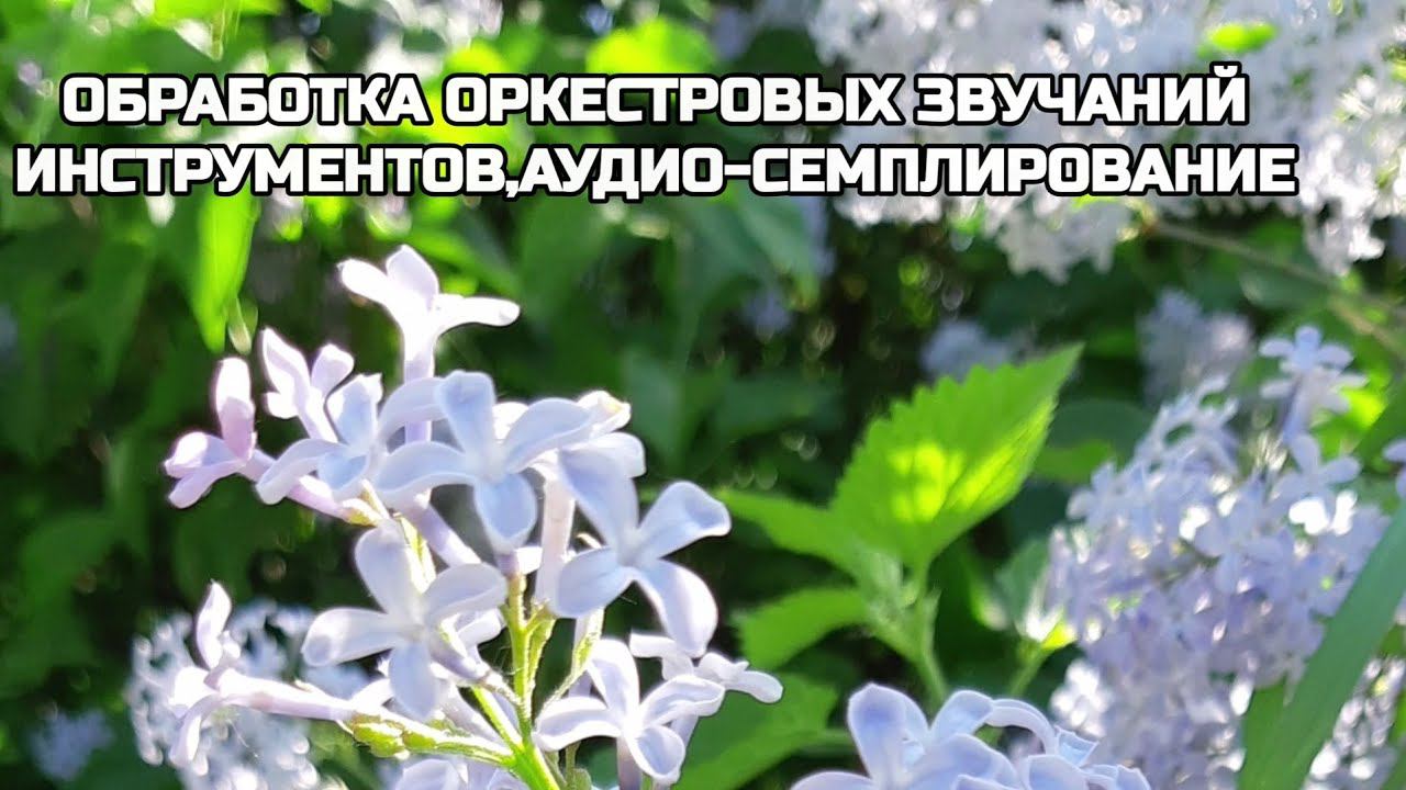 Предмет : современная звукорежиссура |1 курс | Музыкальное звукооператорское мастерство