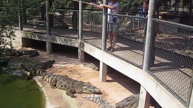 Тайланд, Крокодиловая ферма смотреть онлайн