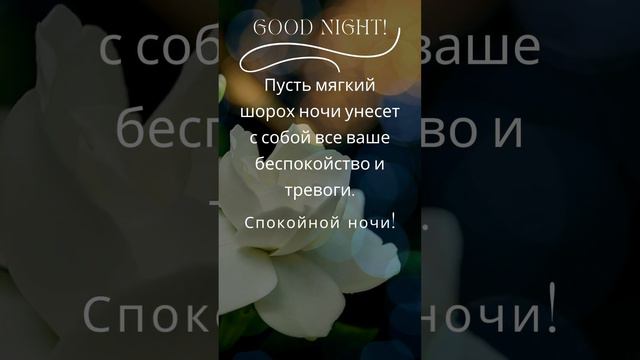 #LifeisBeautiful #Цитаты #Quotes #shortsvideo, #спокойной ночи, #Good night смотреть онлайн