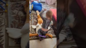 Полоса препятствий