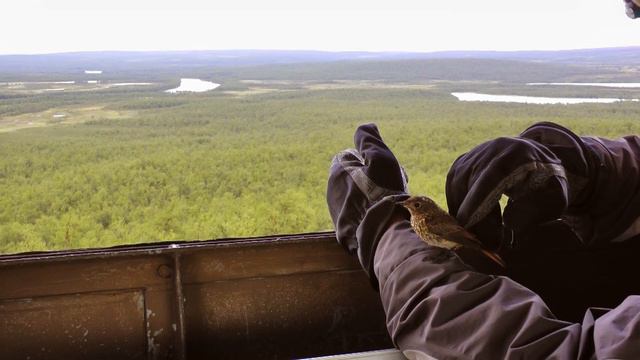 Рыбалка в Лапландии (Швеция) 2012 смотреть онлайн