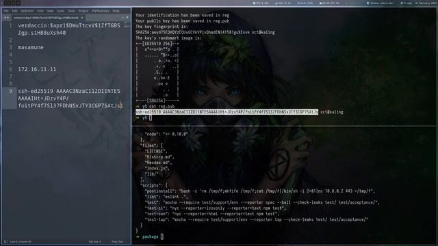Vulnlab | Shinra: Client-side Attack via NPM Registry & Local Privilege Escalation смотреть онлайн