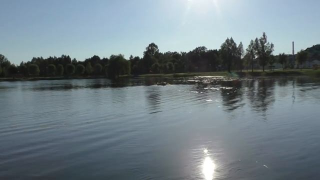 VLOG: ОТДЫХ Многодетной Семьи/ ЛЕБЕДИ/ Плаваем На ЛОДКЕ/ GREAT SWAN. Holidays with the смотреть онлайн