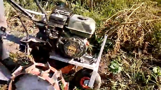 мотоблок зирка 3060б.3gp /Harvesting potatoes motor-block смотреть онлайн
