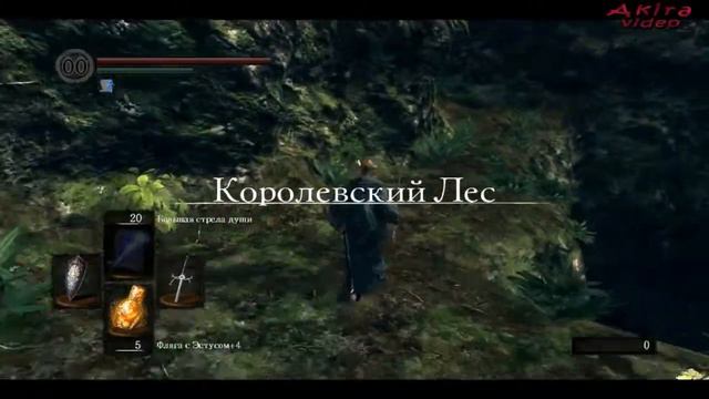 Dark Souls PtDE Прохождение магом – Серия 37 – Бурундука похитили! D: смотреть онлайн