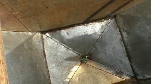 Как сделать распечатку сотовых рамок? СТОЛ для РАМОК.