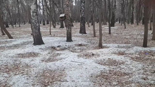 Как пробудить спящего. смотреть онлайн