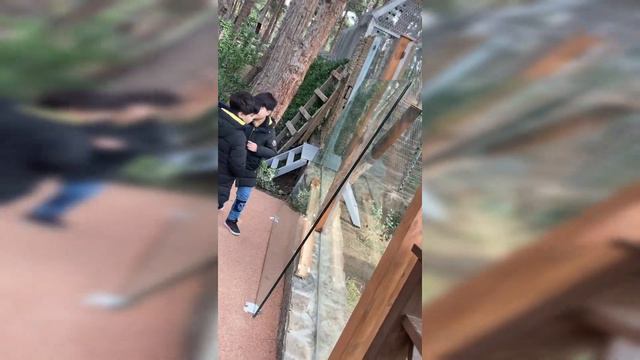 Baku zoo смотреть онлайн