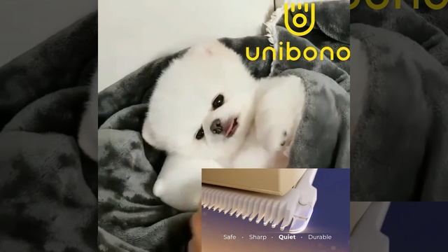Best all in one Pet grooming kit# unibono hair trimmer#hair clipper#pet hair tool#short смотреть онлайн