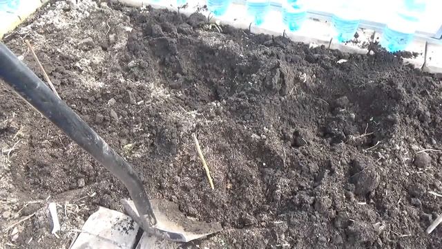 Посадка рассады перцев и баклажанов в теплицу смотреть онлайн