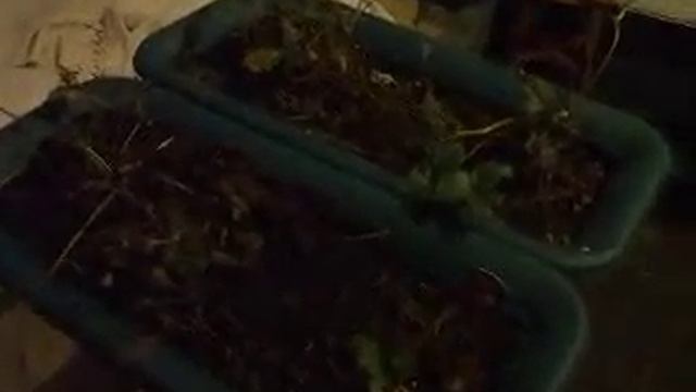 #! video video.php v=103921766296970 oid=299869764798.mp4 смотреть онлайн