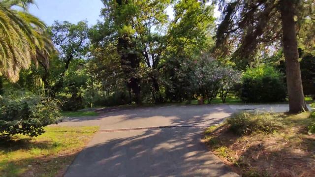 Парк Дендрарий. Сочи. смотреть онлайн