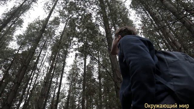 Даже это животное не забыло добро, когда то люди спасли его, и он отплатил тем же смотреть онлайн