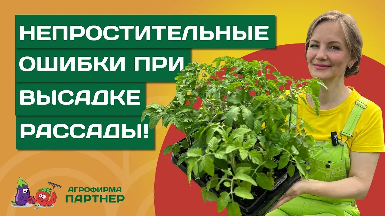 КОГДА ВЫСАЖИВАТЬ РАССАДУ В ГРУНТ И КАК ПРАВИЛЬНО ЭТО СДЕЛАТЬ смотреть онлайн
