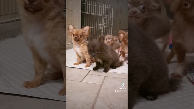 2023-02-11-152002188.mp4 смотреть онлайн