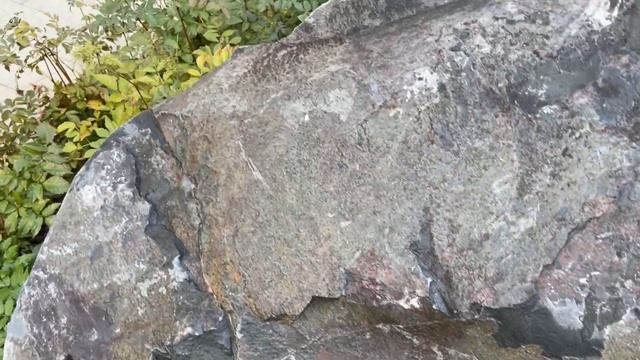 Благоустройство и озеленение двора| Ландшафтный дизайн придомовой территории смотреть онлайн