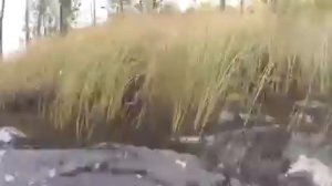 Большая Щука утопила лодку