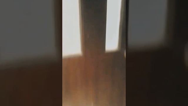 Chennai Royal Residency 3 star hotel ❤❤❤ смотреть онлайн