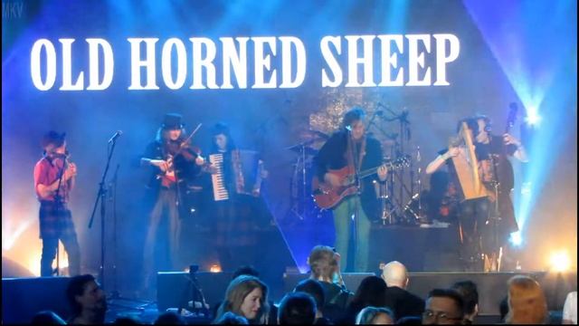 OLD HORNED SHEEP -Foggy Dew- День святого Патрика в СПб.16.03.19 смотреть онлайн