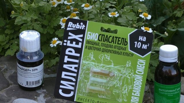 Чем обработать цветы от болезней? смотреть онлайн
