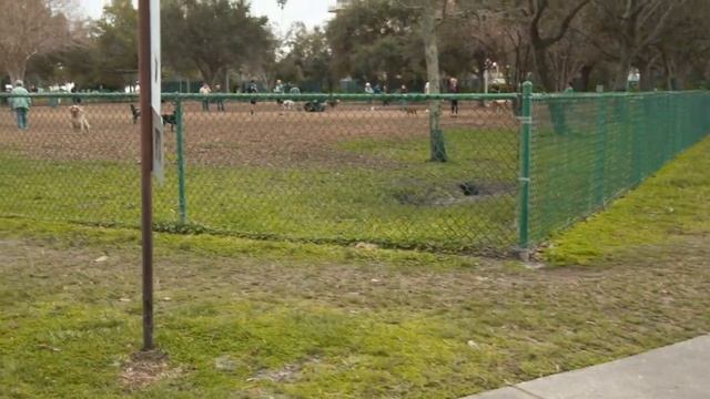 St Petersburg Florida. Downtown St. Pete. Tampa Bay. Walking tour Live cam 4K смотреть онлайн